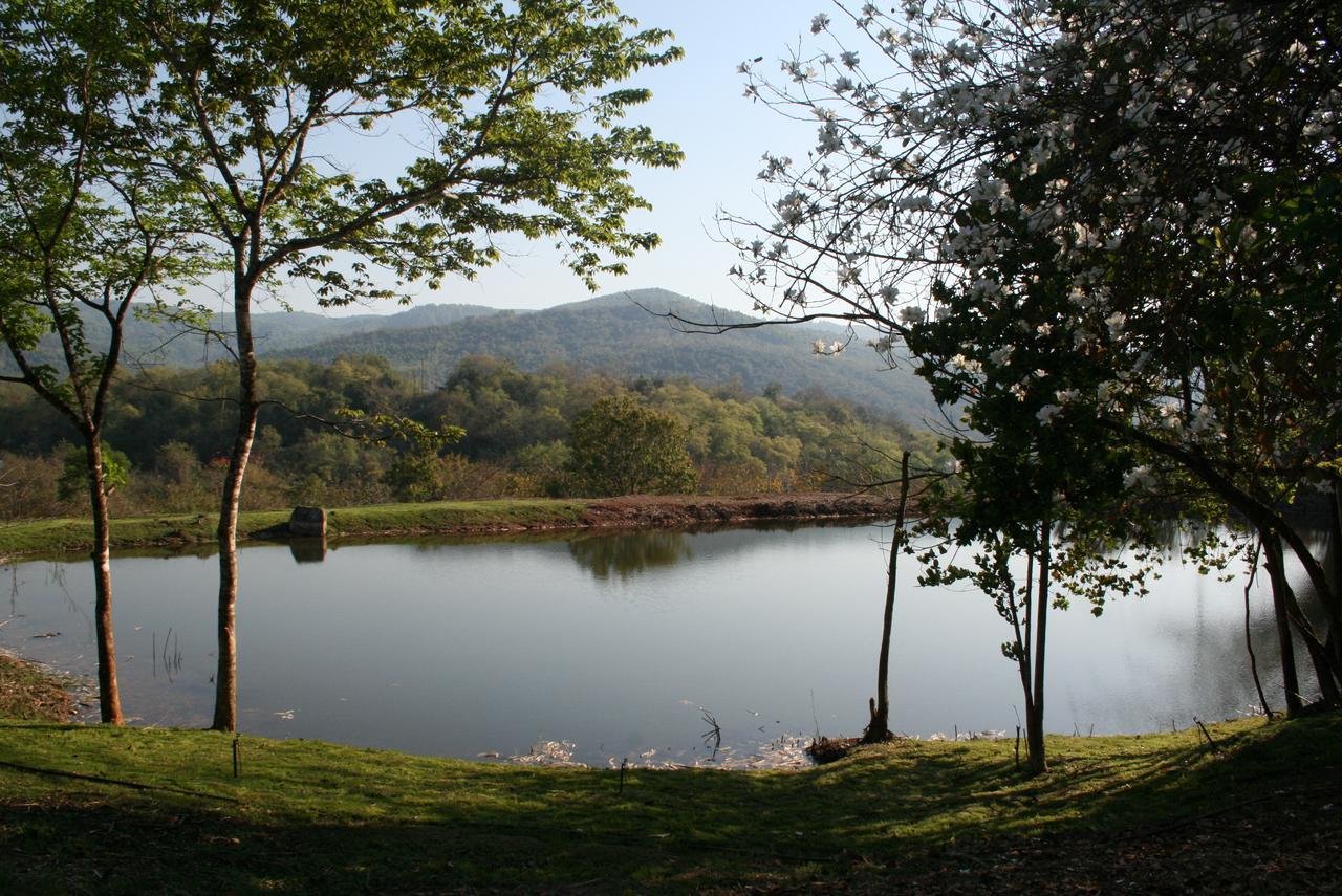 Mountain Creek Lodge ヘイジービュー エクステリア 写真